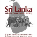SriLanka-Safety