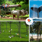 Vacaciones Semana Santa - Mejor época para viajar a Sri Lanka