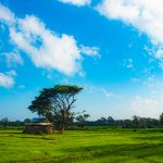 Turismo sostenible - Viajes organizados a Sri Lanka