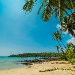 Estado de ánimo - Viajes Sri Lanka