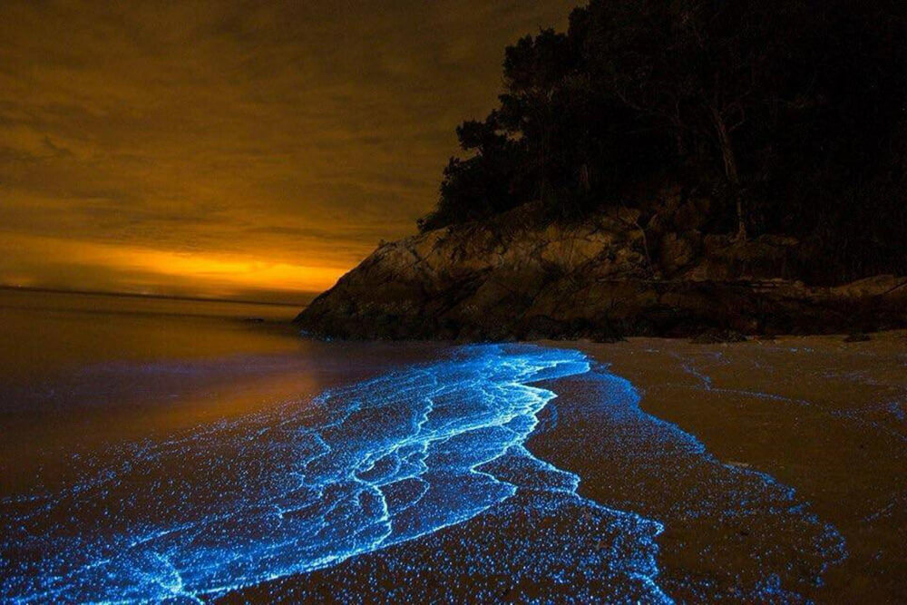 Lagunas bioluminiscentes - Viajes Sri Lanka
